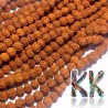Korálky vyrobené z ořechů stromu rudraksha o průměru 4 mm a s dírkou pro průvlek o průměru 0,5-1 mm. Jde o tzv. 5 mukhi rudraksha korálky. Korálky pochází z Indie a mohou se vzhledem k ručnímu třízení lišit až o 0,8 mm od uvedené velikosti. Korálky jsou mořeny výtažkem barviv z kořenové zeleniny, který je v Indii tradičně používán k ochraně korálků po dobu stovek let.
UVEDENÁ CENA JE ZA 1 KS.