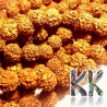 Korálky vyrobené z ořechů stromu rudraksha o průměru 12 mm a s dírkou pro průvlek o průměru 0,5-1 mm. Jde o tzv. 5 mukhi rudraksha korálky. Korálky pochází z Indie a mohou se vzhledem k ručnímu třízení lišit až o 0,8 mm od uvedené velikosti. Korálky jsou mořeny výtažkem barviv z kořenové zeleniny, který je v Indii tradičně používán k ochraně korálků po dobu stovek let.
UVEDENÁ CENA JE ZA 1 KS.