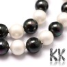 Seashell beads - balls - ∅ 8 mm- quality A