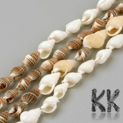 Natural shell beads - 8-18 x 5-10 x 5-10 mm