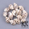 Beads made of natural spiral sea shells of molluscs (or clams, or valleys) with dimensions of 23-32 x 14-20 x 12-17 mm and with a hole drilled in the center / tip of the spiral with a diameter of 0.6-1 mm.
Country of origin China
THE PRICE IS FOR 1 PCS.