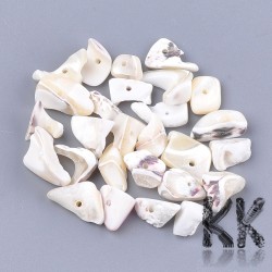Přírodní perleťové zlomky z ulit - 5-37 x 3-13 x 1-7 mm - váha 1 g (cca 0,75 cm)