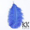 Dyed ostrich feathers - 150 - 200 mm