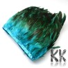 Dyed rooster feathers - 110-300 x 28-62 mm