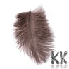 Dyed ostrich feathers - 150 - 200 mm