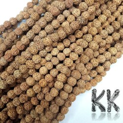 Rudraksha natural beads - Ø 6 mm