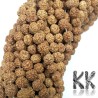 Beads made of rudraksha tree nuts with a diameter of 8 mm and a hole for a thread with a diameter of 0.5-1 mm. These are called 5 mukhi rudraksha beads. The come from India and may differ by up to 0.8 mm from the stated size due to manual sorting. The beads are absolutely natural without any dye.
Country of origin: India
THE PRICE IS FOR 1 PCS.