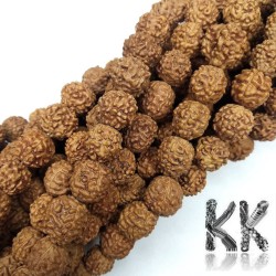 Rudraksha natural beads - Ø 10 mm