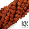 Beads made of rudraksha tree nuts with a diameter of 10 mm and a hole for a thread with a diameter of 0.5-1 mm. These are called 5 mukhi rudraksha beads. The beads come from India and may differ by up to 0.8 mm from the stated size due to manual sorting. The beads are stained with an extract of root vegetable dyes, which has traditionally been used in India to protect beads for hundreds of years.THE PRICE IS FOR 1 PCS.