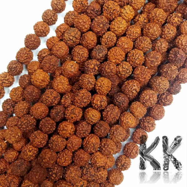 Rudraksha beads - ∅ 9 mm