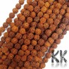 Korálky vyrobené z ořechů stromu rudraksha o průměru 9 mm a s dírkou pro průvlek o průměru 0,5-1 mm. Jde o tzv. 5 mukhi rudraksha korálky. Korálky pochází z Indie a mohou se vzhledem k ručnímu třízení lišit až o 0,8 mm od uvedené velikosti. Korálky jsou mořeny výtažkem barviv z kořenové zeleniny, který je v Indii tradičně používán k ochraně korálků po dobu stovek let.
UVEDENÁ CENA JE ZA 1 KS.