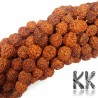 Rudraksha beads - ∅ 9 mm