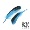 Two-colored goose feathers - 115 - 160 x 20 - 35 mm