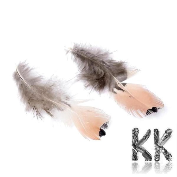 Natural chicken feathers - 100 - 110 x 30 - 40 mm