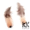 Natural chicken feathers - 100 - 110 x 30 - 40 mm