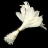 Dyed goose feathers - 130 - 190 x 12 - 38 mm