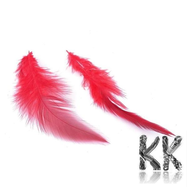 Colored chicken feathers - 65-135 x 25-45 mm