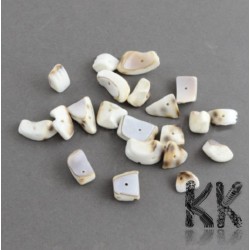 Přírodní perleťové zlomky z mušlí - 6-20 x 6 - 12 x 6-8 mm - váha 1 g