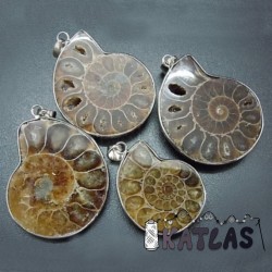 Natural Fossilized Ammonite - 35-50 x 25-35 x 8 mm, Hole: 4 x 6 mm - Pendant