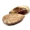 Mineral Cabochon - Natural Brown Marble - So-called Picture Jasper - 20,5 x 11 x 5 mm - Teardrop
