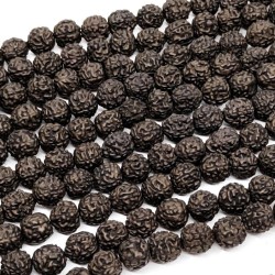 Rudraksha černé korálky - Ø 10 mm,Množství:1 ks
