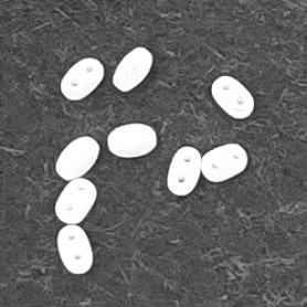 Czech Glass Two-hole Pressed Beads - Listerized Oval - Weight 1 g