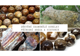 Korálky ze zkamenělého dřeva: Přírodní krása a historie